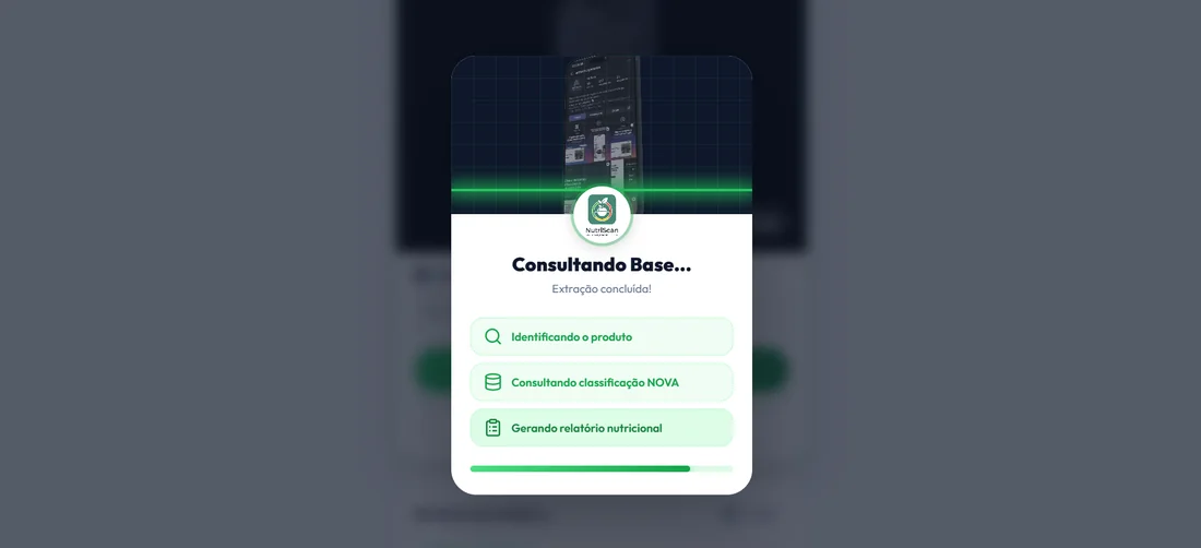 Tela de carregamento consultando a classificação NOVA do alimento